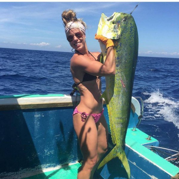 ������ �����