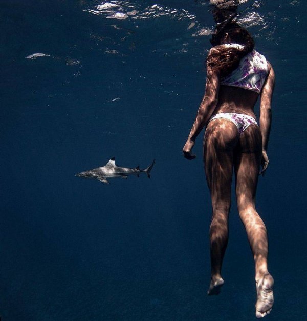 ������ �����