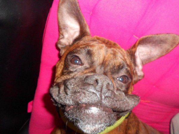 ���� ������!