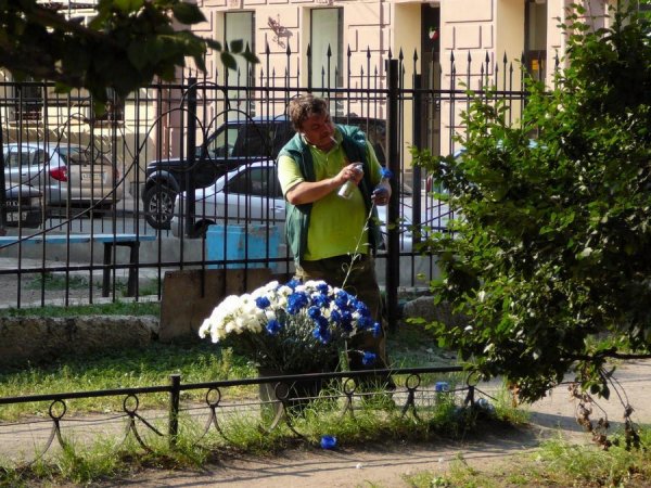 �������� ��������