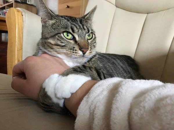 ����� �� �����������