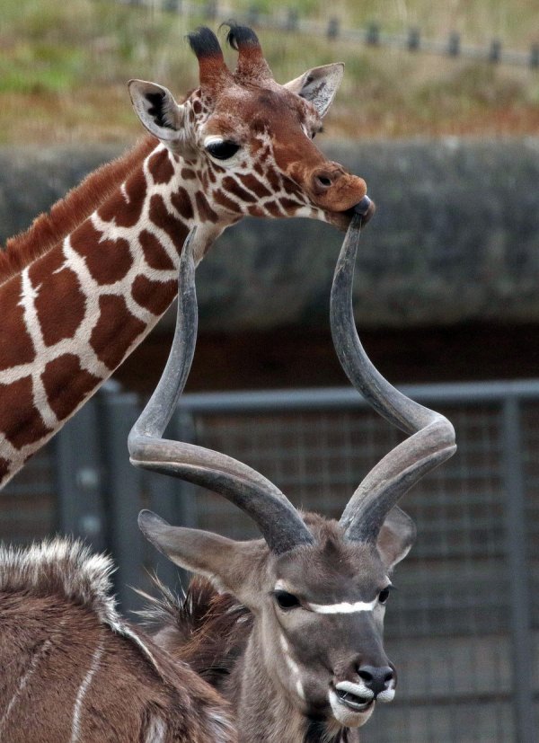 ����� �� �����������