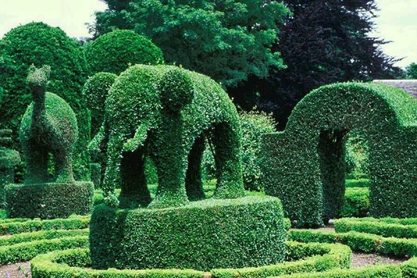 ����� �� �����������