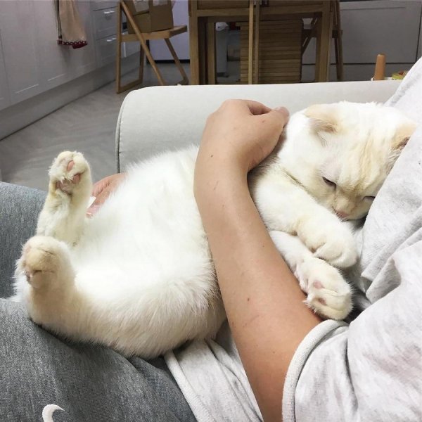 �������� ����