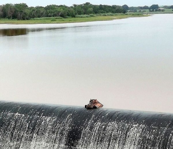 �������� ����