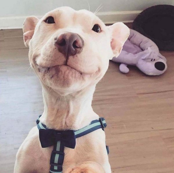 �������� ����