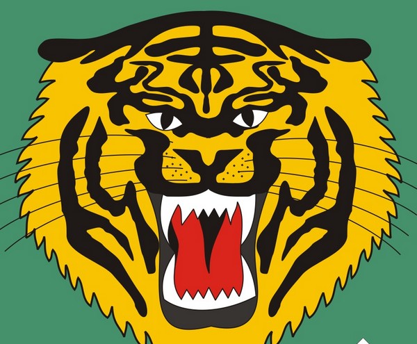 �������� ����