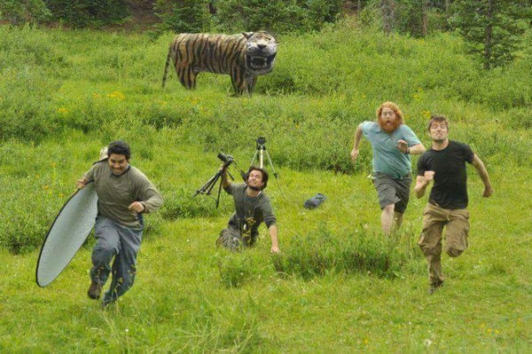 �������� ����