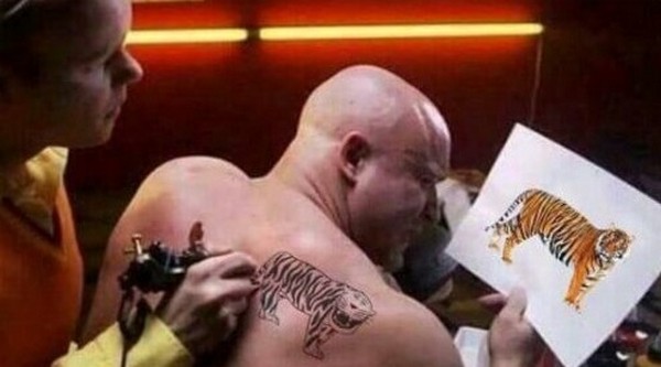 �������� ����