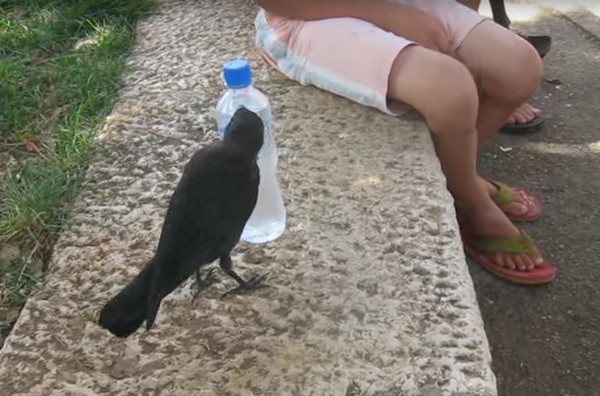 ������ ������ ����