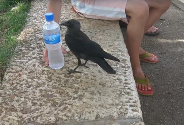 ������ ������ ����