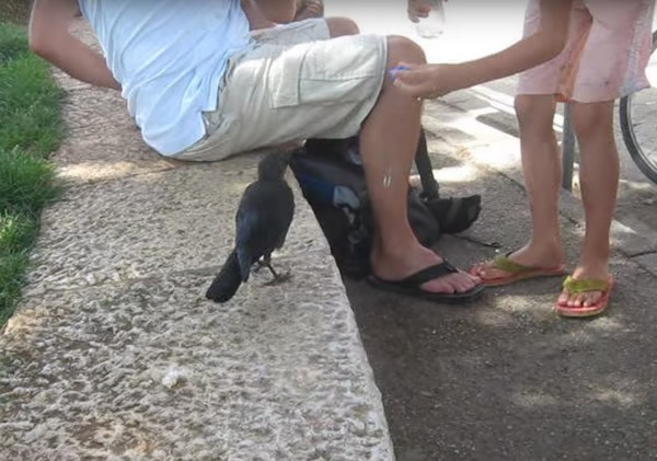 ������ ������ ����