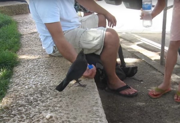 ������ ������ ����