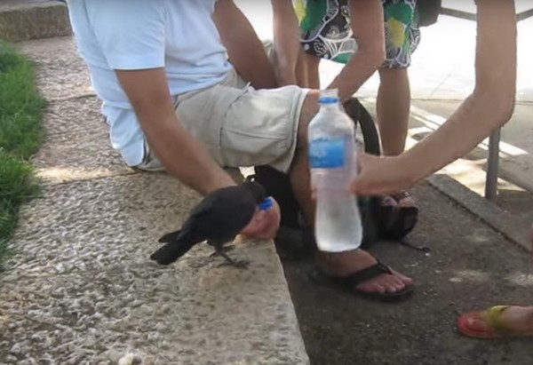 ������ ������ ����