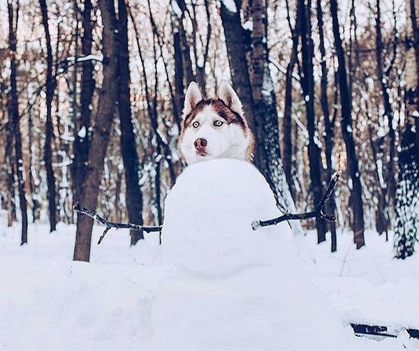 ����� �� �����������