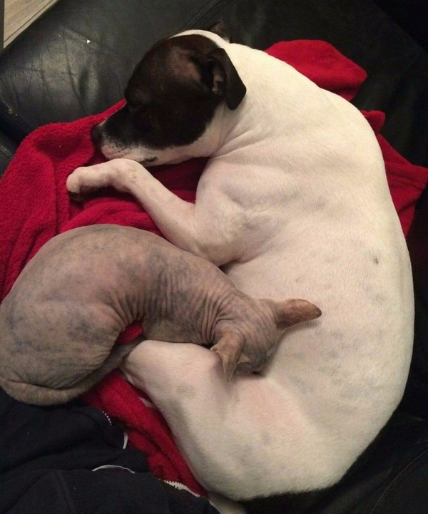 ����� �� �����������