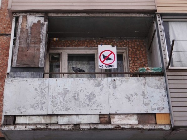 ����� �� �����������