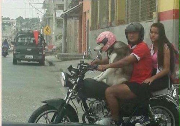 ����� �� �����������