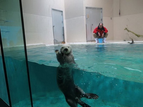 ����� �� �����������