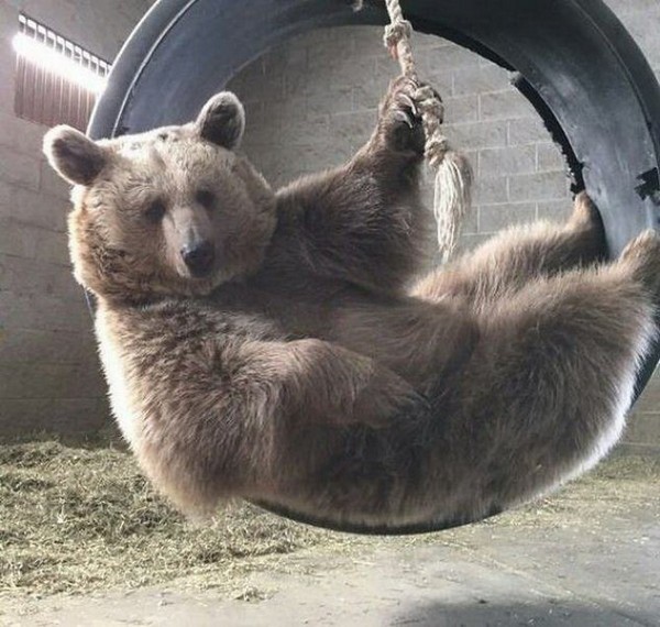 ����� �� �����������