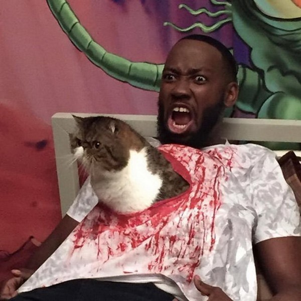 ����� �� �����������