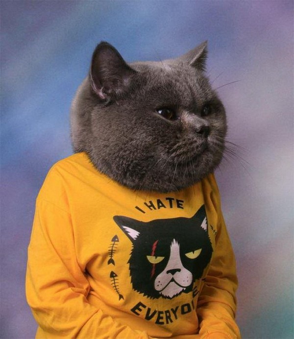 ����� �� �����������