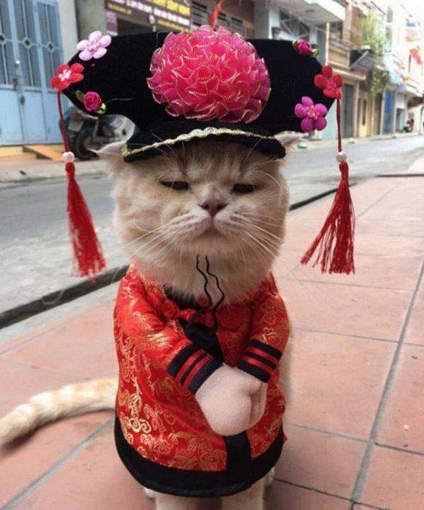 ����� �� �����������