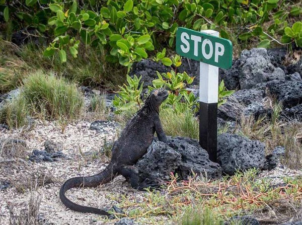 �������� ����