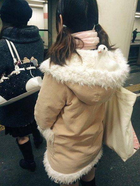 �������� ����