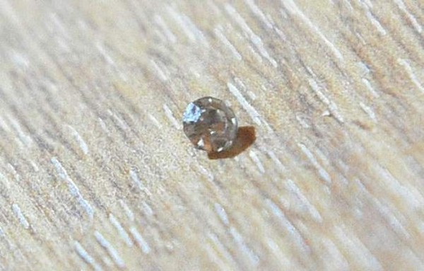 ���� � �����������