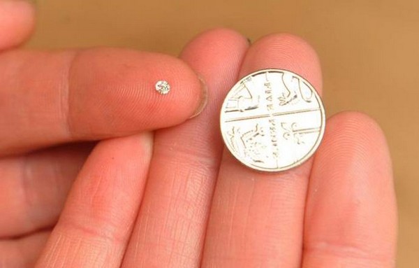 ���� � �����������