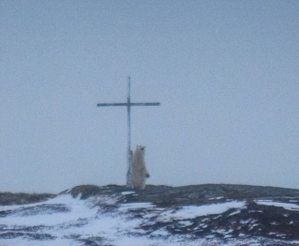 ������� �������