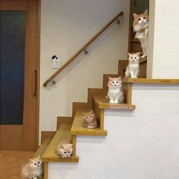 ������� ����