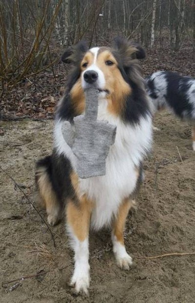 ������� ����