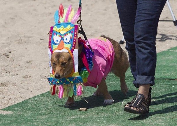 ������������