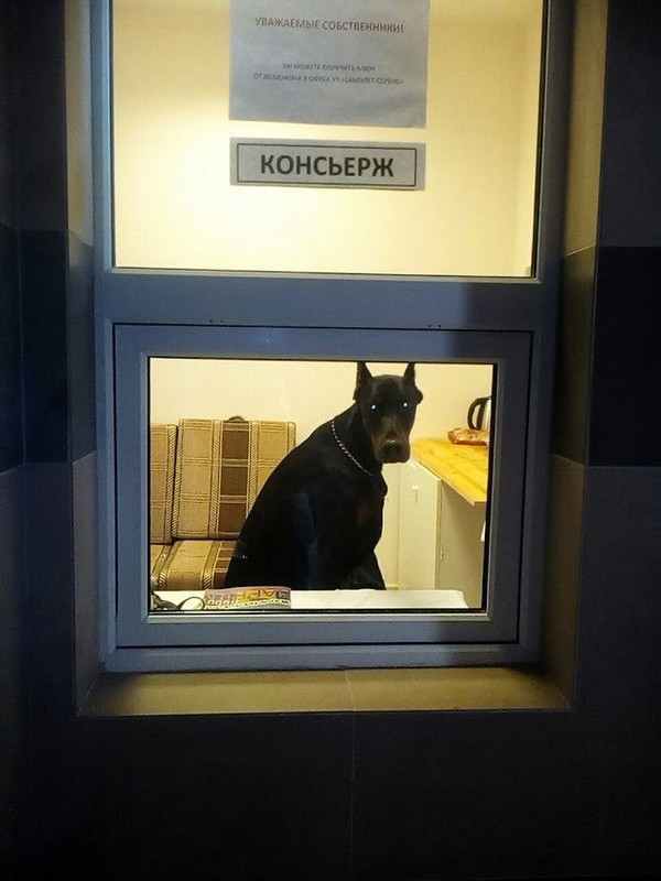 �������� �������