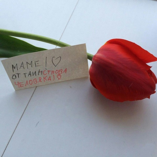 �������� �������