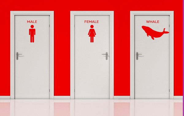 �������