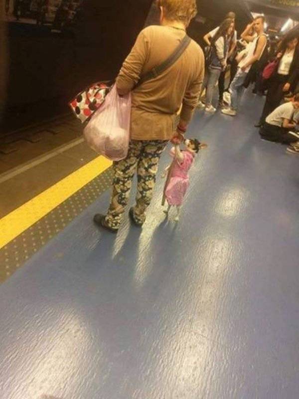 �������� ��������