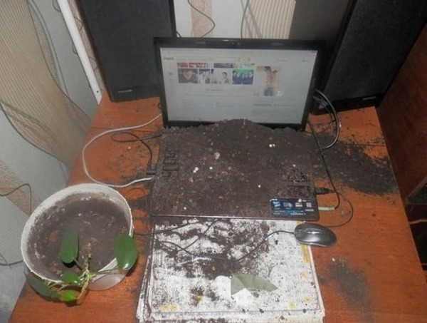 ������������