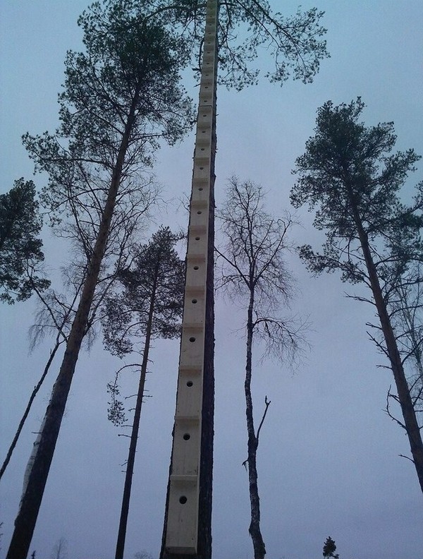 ������������