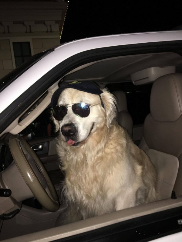 �������� ��������