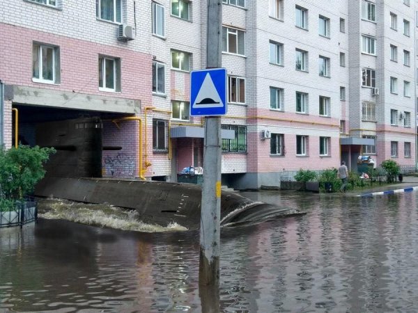 ������������