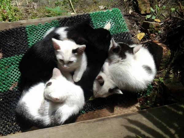 �������� ������