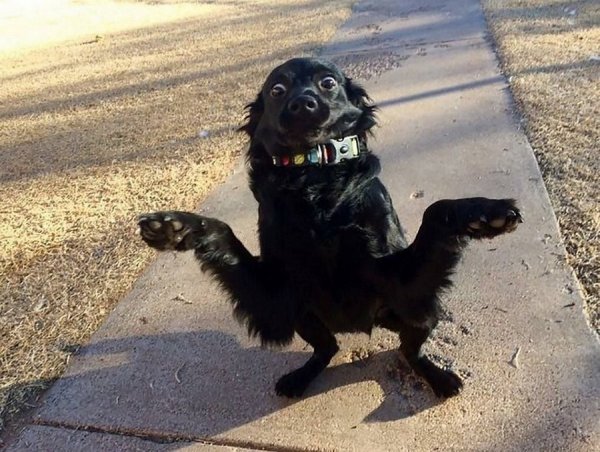 �������� ������