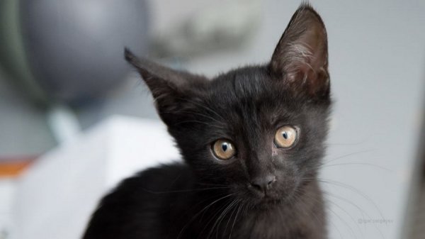 �������� ������