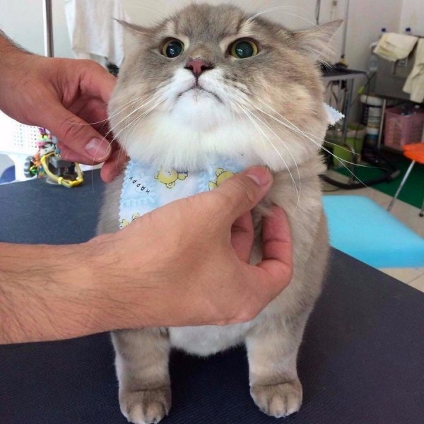 �������� ������