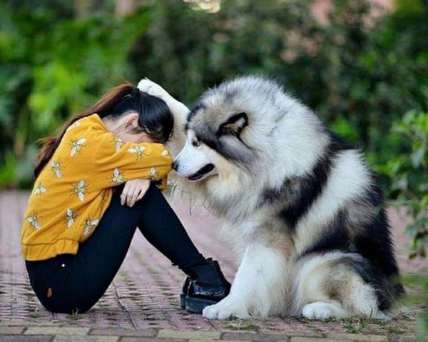 �������� ������