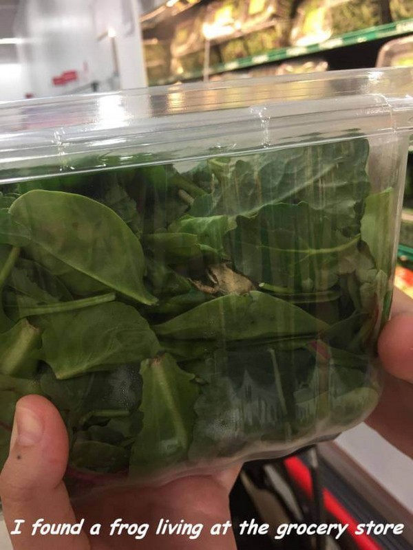 �������� ������