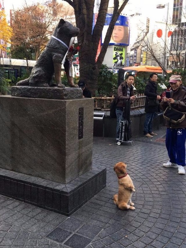 �������� ������